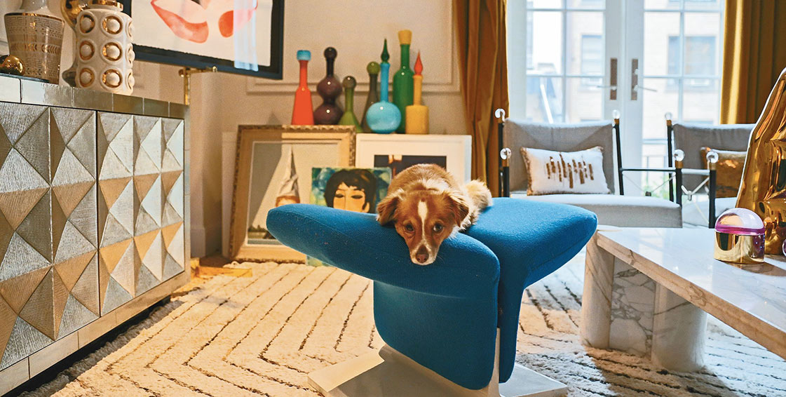 Interior-Designers-Dog-Mapswonders-Furniture-Lighting-